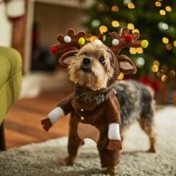 Frisco Front Walking Reindeer Dog & Cat Costume, 1 Count -Chewy 228790 PT7. AC SS1800 V1636743685
