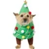 Frisco Front Walking Christmas Tree Dog & Cat Costume -Chewy 229164 MAIN. AC SS1800 V1631300529