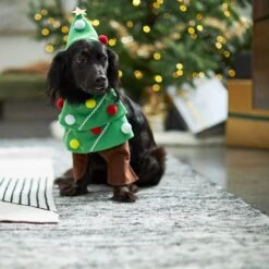 Frisco Front Walking Christmas Tree Dog & Cat Costume -Chewy 229164 PT7. AC SS1800 V1601385981