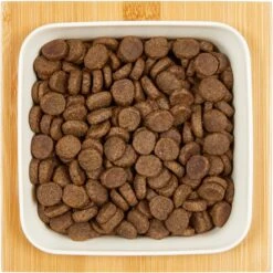 Frisco Square Melamine Dog & Cat Bowl With Bamboo Stand -Chewy 232072 PT3. AC SS1800 V1605145972