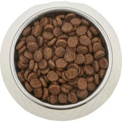 Frisco Hammered Melamine Stainless Steel Dog Bowl 11 Frisco Hammered Melamine Stainless Steel Dog Bowl -Chewy 232083 PT3. AC SS1800 V1609885089