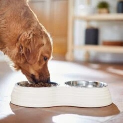 Frisco Stainless Steel Double Dog Bowls With Melamine Stand -Chewy 232092 PT7. AC SS1800 V1693015855