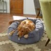 Frisco Velvet Round Bolster Dog Bed W/Removable Cover -Chewy 232178 MAIN. AC SS1800 V1602013291