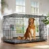 Frisco Heavy Duty Enhanced Lock Double Door Fold & Carry Wire Dog Crate & Mat Kit 1 Frisco Heavy Duty Enhanced Lock Double Door Fold & Carry Wire Dog Crate & Mat Kit -Chewy 233736 MAIN. AC SS1800 V1667229247