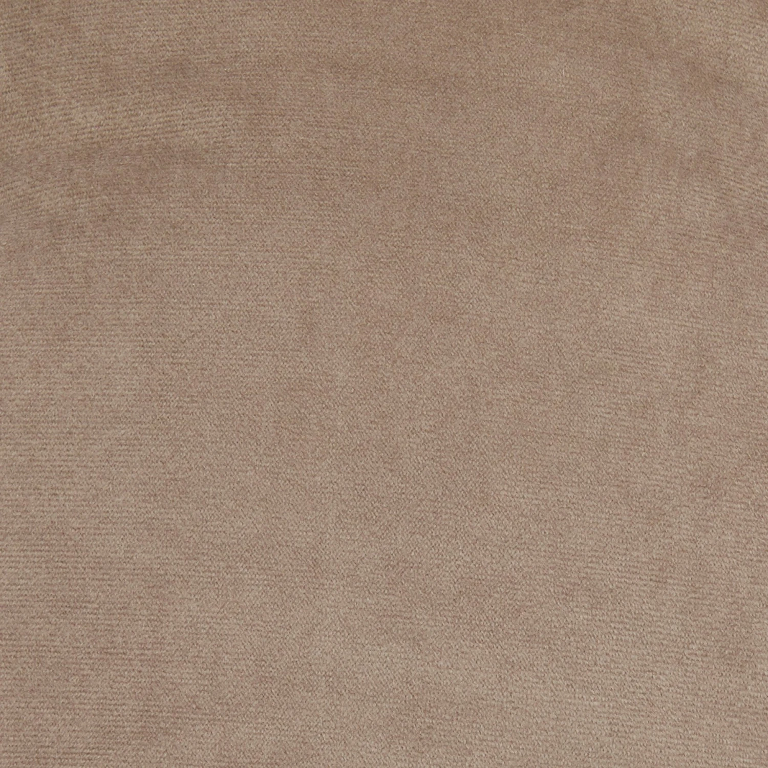 Frisco Rectangular Personalized Bolster Dog Bed W/Removable Cover, Beige, Large 8 Frisco Rectangular Personalized Bolster Dog Bed W/Removable Cover, Beige, Large - Image 6