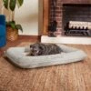 Frisco Orthopedic Personalized Bolster Dog Bed W/Removable Cover, Light Gray -Chewy 234952 MAIN. AC SS1800 V1600207055