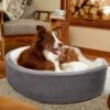 Frisco Bolster Cat & Dog Bed -Chewy 235034 MAIN. AC SS1800 V1602690455