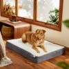 Frisco Orthopedic Pillow Cat & Dog Bed