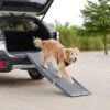 Frisco Tri-Fold Travel Dog Car Ramp 2 Frisco Tri-Fold Travel Dog Car Ramp -Chewy 236730 MAIN. AC SS1800 V1668186543