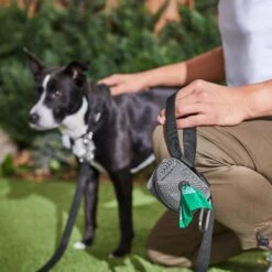 Frisco Dog Poop Bags With Fabric Dispenser -Chewy 236998 PT6. AC SS1800 V1610772967