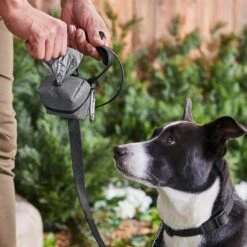 Frisco Large Size Dog Poop Bags With Fabric Dispenser -Chewy 237013 PT6. AC SS1800 V1610762789