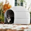 Frisco Dome Dog House -Chewy 241900 MAIN. AC SS1800 V1602855705