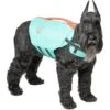 Frisco Active Dog Life Jacket -Chewy 247894 MAIN. AC SS1800 V1613407958