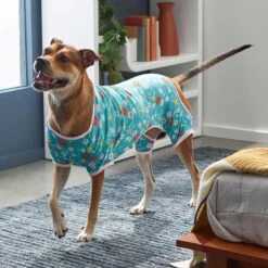 Frisco Teal Floral Dog & Cat Jersey PJs 14 Frisco Teal Floral Dog & Cat Jersey PJs -Chewy 249132 PT5. AC SS1800 V1637725019