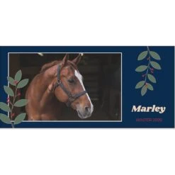 Frisco Berry Garland Personalized Coffee Mug, 11-oz -Chewy 249333 PT2. AC SS1800 V1602863774