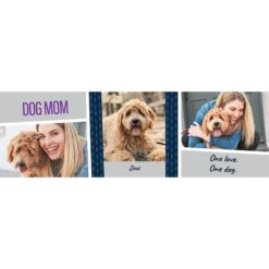 Frisco Double Walled "Dog Mom" Personalized Tumbler, 30-oz Cup -Chewy 250741 PT2. AC SS1800 V1602689509