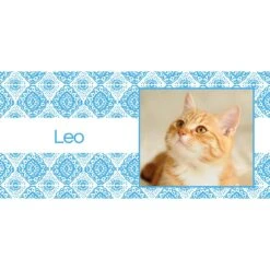 Frisco Double Walled Boho Damask Personalized Tumbler, 30-oz Cup 9 Frisco Double Walled Boho Damask Personalized Tumbler, 30-oz Cup -Chewy 250749 PT2. AC SS1800 V1606680445