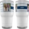 Frisco Double Walled Preppy Stripes Personalized Tumbler, 30-oz Cup -Chewy 250751 MAIN. AC SS1800 V1606680435