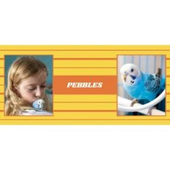 Frisco Double Walled Preppy Stripes Personalized Tumbler, 30-oz Cup -Chewy 250751 PT2. AC SS1800 V1606678620