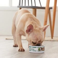 Frisco Boho Damask Ceramic Personalized Dog & Cat Bowl -Chewy 250833 PT3. AC SS1800 V1610758070