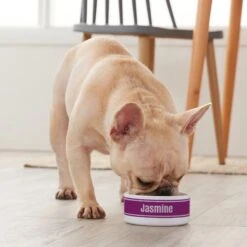 Frisco Preppy Stripes Ceramic Personalized Dog & Cat Bowl -Chewy 250837 PT3. AC SS1800 V1610764911