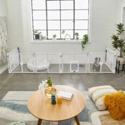 Frisco 6-Panel Plastic Exercise Dog Playpen, Light Gray -Chewy 252045 PT6. AC SS1800 V1611090517