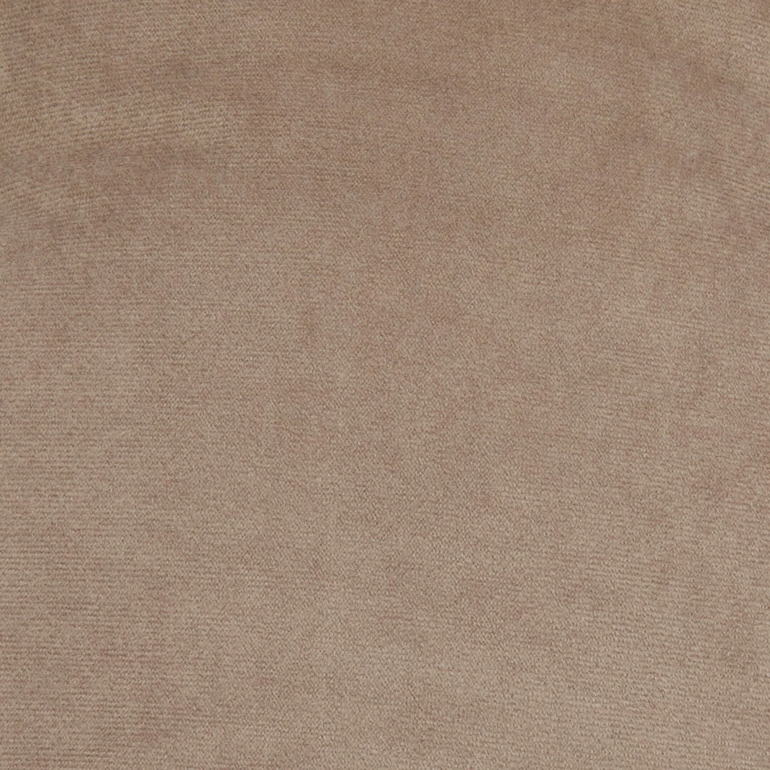 Frisco Rectangular Personalized Bolster Dog Bed W/Removable Cover, Beige, X-Large 8 Frisco Rectangular Personalized Bolster Dog Bed W/Removable Cover, Beige, X-Large - Image 6