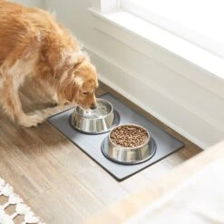 Frisco Silicone Dog & Cat Food Mat -Chewy 253040 PT2. AC SS1800 V1616522564
