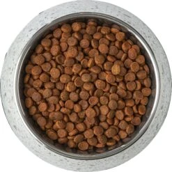 Frisco Quartz Design Stainless Steel Dog & Cat Bowl -Chewy 253044 PT5. AC SS1800 V1616526766