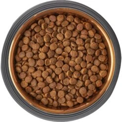 Frisco Matte Black Design Light Copper Stainless Steel Dog & Cat Bowl -Chewy 253051 PT5. AC SS1800 V1616526794