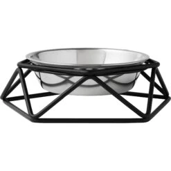 Frisco Elevated Stainless Steel Dog & Cat Bowl With Metal Stand
