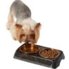 Frisco Copper Stainless Steel Double Dog & Cat Bowls With Black Marble Stand -Chewy 253058 MAIN. AC SS1800 V1616075012