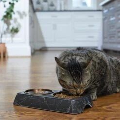 Frisco Copper Stainless Steel Double Dog & Cat Bowls With Black Marble Stand -Chewy 253058 PT2. AC SS1800 V1616594213