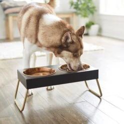 Frisco Copper Stainless Steel Elevated Foldable Double Dog & Cat Bowls 12 Frisco Copper Stainless Steel Elevated Foldable Double Dog & Cat Bowls -Chewy 253060 PT2. AC SS1800 V1616594243
