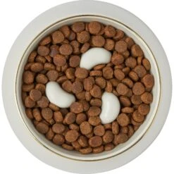 Frisco Melamine Slow Feed Dog & Cat Bowl With Gold Trim -Chewy 253066 PT5. AC SS1800 V1616597830