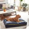 Frisco Faux Felt Zipper Pillow Cat & Dog Bed -Chewy 255158 MAIN. AC SS1800 V1616011383