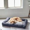 Frisco Faux Felt Orthopedic Rectangular Bolster Dog Bed W/Removable Cover -Chewy 255177 MAIN. AC SS1800 V1616013126