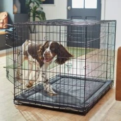 Frisco Self Warming Dog Crate Mat -Chewy 255337 PT5. AC SS1800 V1616102293