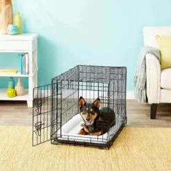 Frisco Fold & Carry Single Door Collapsible Wire Dog Crate & Frisco Quilted Dog Crate Mat -Chewy 255493 PT2. AC SS1800 V1603545085