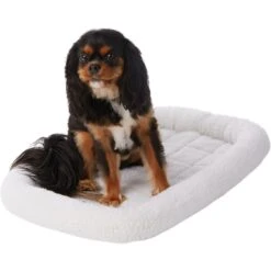 Frisco Fold & Carry Single Door Collapsible Wire Dog Crate & Frisco Quilted Dog Crate Mat -Chewy 255493 PT4. AC SS1800 V1603545111