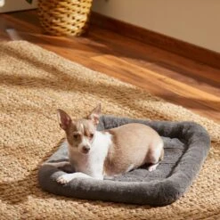 Frisco Fold & Carry Single Door Collapsible Wire Dog Crate & Frisco Quilted Plush Dog Crate Mat 11 Frisco Fold & Carry Single Door Collapsible Wire Dog Crate & Frisco Quilted Plush Dog Crate Mat -Chewy 255501 PT4. AC SS1800 V1604097719
