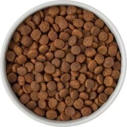 Frisco Ceramic Food Dog & Cat Bowl With Wood Base -Chewy 256043 PT6. AC SS1800 V1615311151