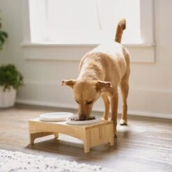 Frisco Ceramic Dog & Cat Double Diner With Elevated Wood Stand 10 Frisco Ceramic Dog & Cat Double Diner With Elevated Wood Stand -Chewy 256052 PT2. AC SS1800 V1615311142