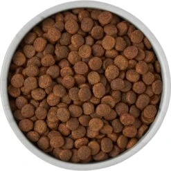 Frisco Marble Design Non-skid Ceramic Dog & Cat Bowl -Chewy 256056 PT6. AC SS1800 V1615310860