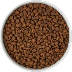 Frisco Paw Prints Non-skid Ceramic Bowl -Chewy 256072 PT5. AC SS1800 V1615312318