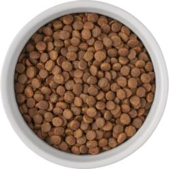 Frisco Bones Non-skid Ceramic Dog & Cat Bowl -Chewy 256074 PT5. AC SS1800 V1615312010