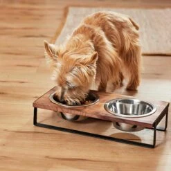 Frisco Wood Elevated Non-Skid Stainless Steel Double Diner Dog & Cat Bowl -Chewy 257143 PT3. AC SS1800 V1615987292
