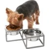Frisco Elevated Diamond Stainless Steel Double Diner Dog & Cat Bowl -Chewy 257147 MAIN. AC SS1800 V1615913790