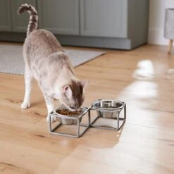 Frisco Elevated Diamond Stainless Steel Double Diner Dog & Cat Bowl -Chewy 257147 PT5. AC SS1800 V1615989105