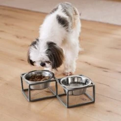Frisco Elevated Diamond Stainless Steel Double Diner Dog & Cat Bowl -Chewy 257147 PT8. AC SS1800 V1615840442